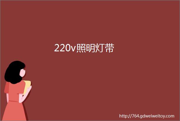 220v照明灯带